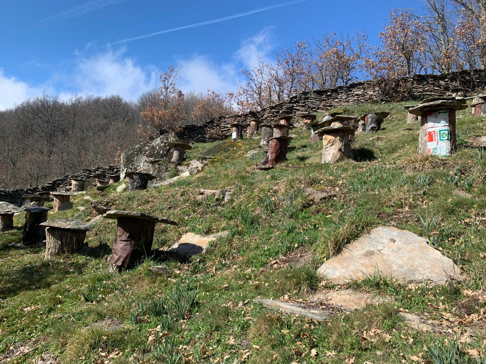 El Tinao De La Hiruela Villa Екстериор снимка